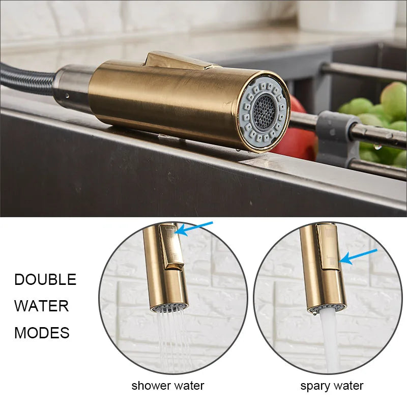 Kitchen Sink Faucet Pull Out Sprayer Nozzle Black Gold and Faucet 