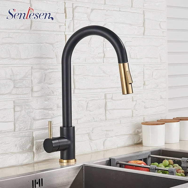 Kitchen Sink Faucet Pull Out Sprayer Nozzle Black Gold and Faucet 