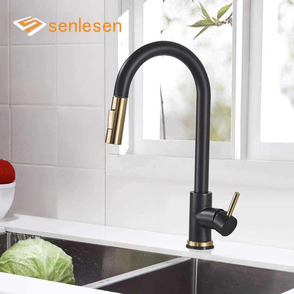 Kitchen Sink Faucet Pull Out Sprayer Nozzle Black Gold and Faucet 