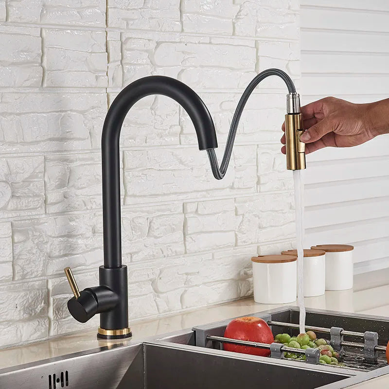 Kitchen Sink Faucet Pull Out Sprayer Nozzle Black Gold and Faucet 