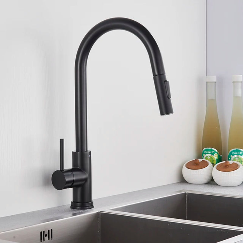 Kitchen Sink Faucet Pull Out Sprayer Nozzle Black Gold and Faucet 